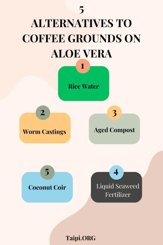 Do Aloe Vera Like Coffee Grounds