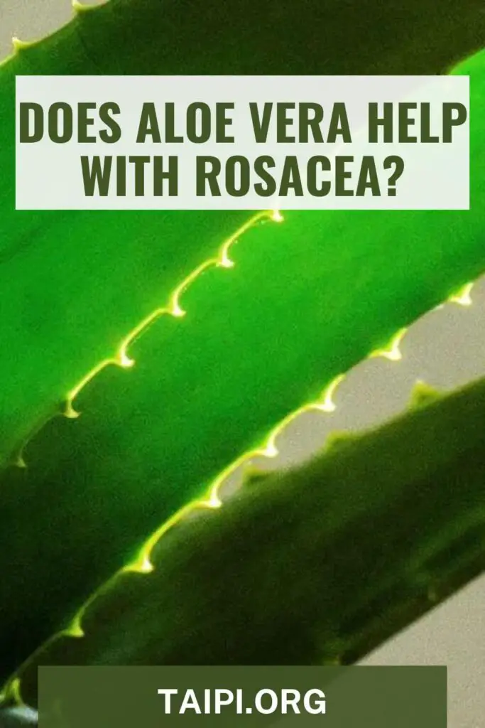 Does Aloe Vera Help with Rosacea