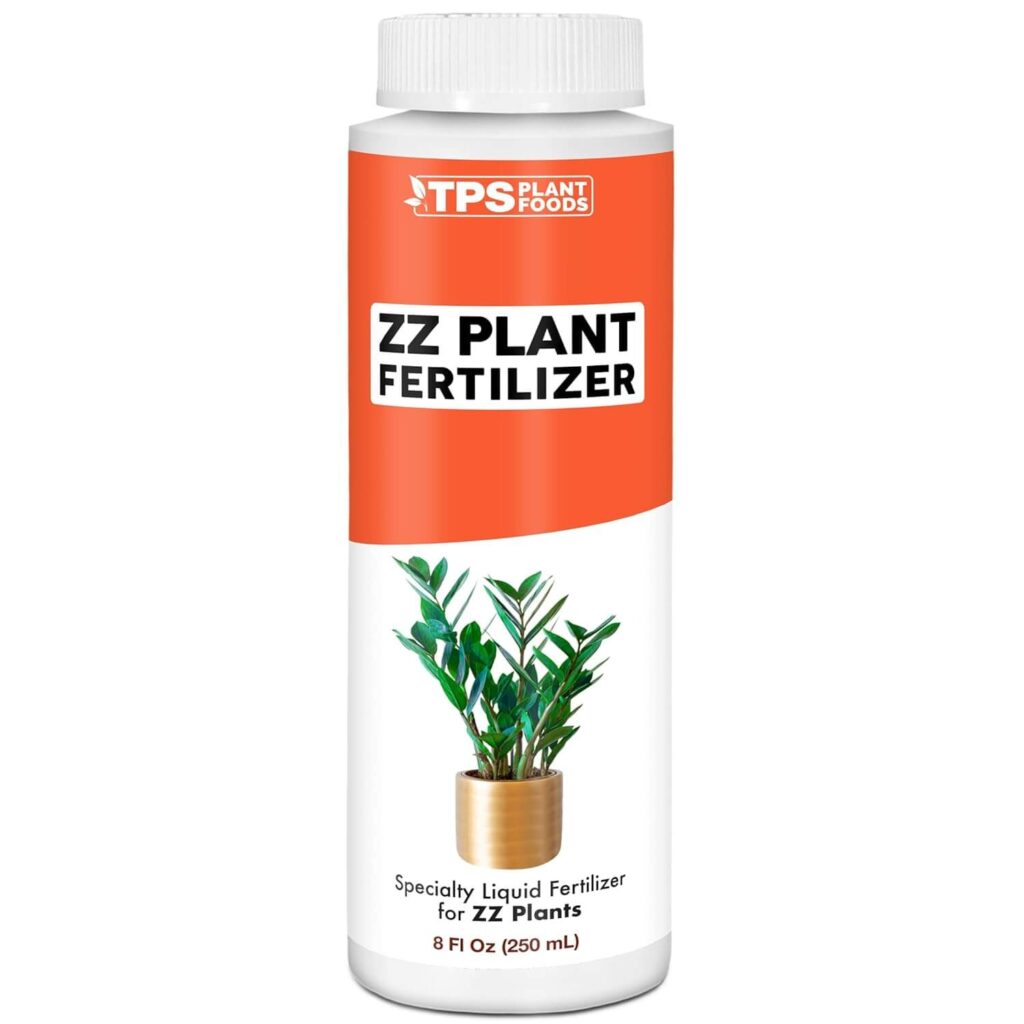 Black ZZ Plant Care