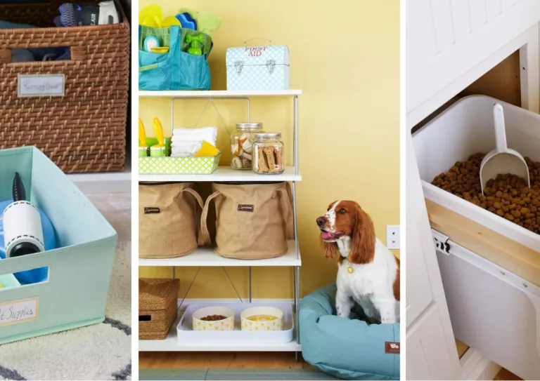 16 Must-Know Hacks for Organizing Pet Supplies